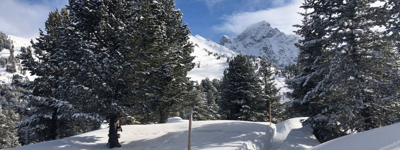 Randonnée hivernale vers la plate-forme Rotes Wandl, © Ötztal Tourismus