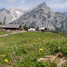Vacances à l’alpage au Tyrol, © Tirol Werbung