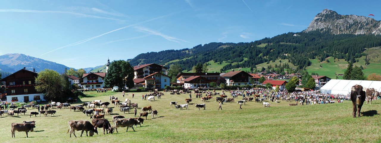 La Fête de la transhumance de Tannheim est l'une des plus belles de la région, © TVB Tannheimer Tal