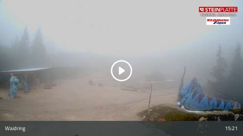 Webcam Triassic Park