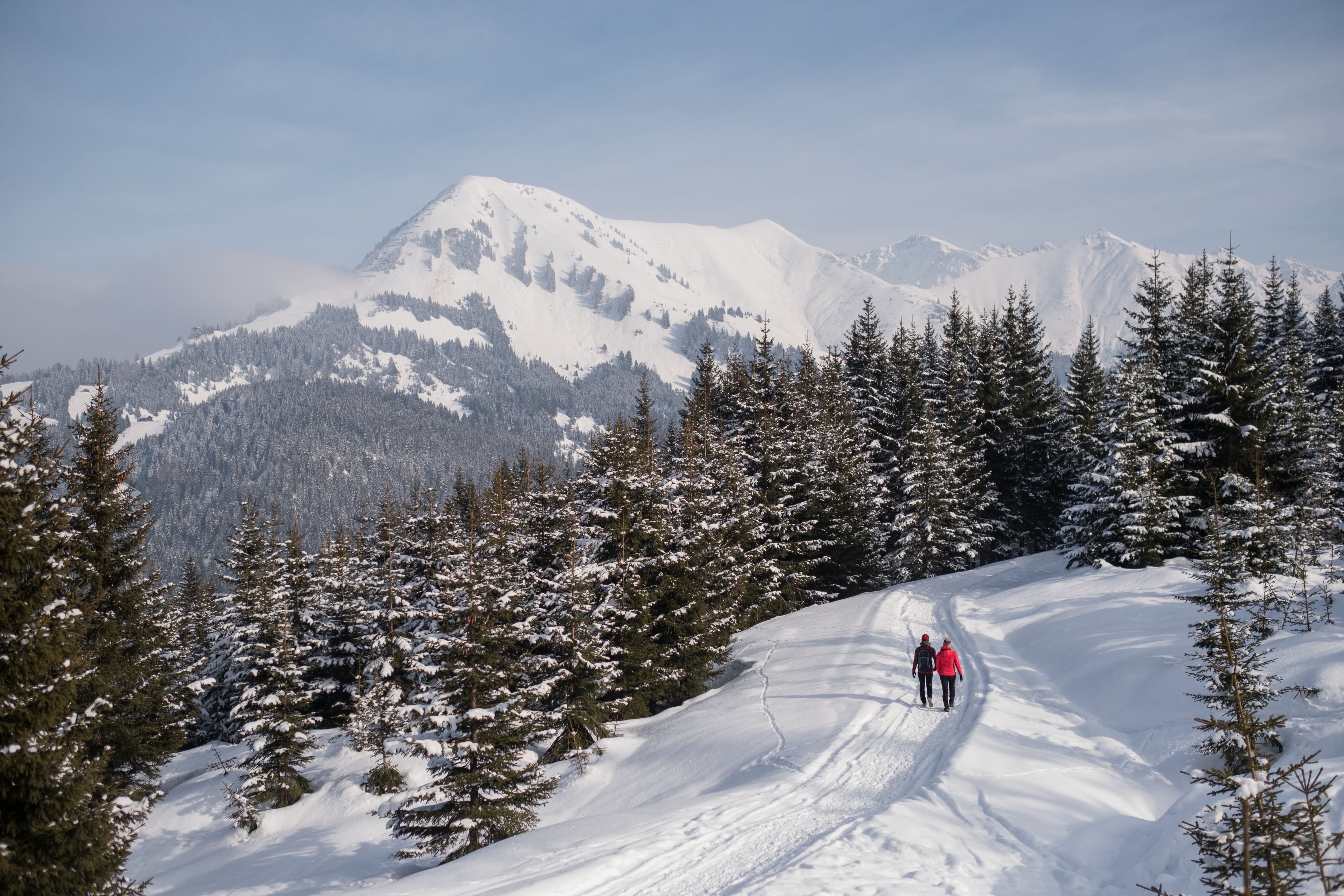 Winterwanderung zu Ehenbichler Alm