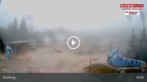 Webcam Triassic Park
