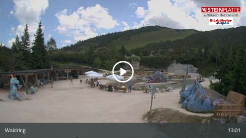 Webcam Triassic Park