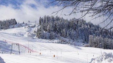 Domaine Katzenkopf, © Iris Krug