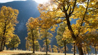 Le Grand parc d’érables, Karwendel, © Tirol Werbung/W9 Studios