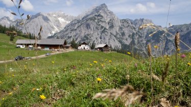 Vacances à l’alpage au Tyrol, © Tirol Werbung