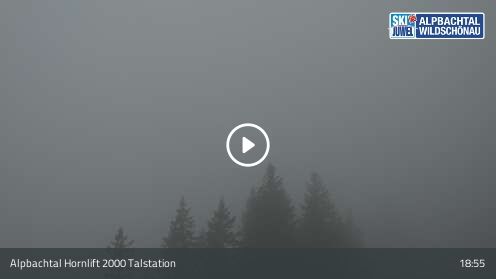 Webcam Hornlift 2000 Talstation
