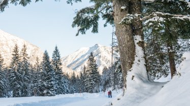 Randonnée hivernale de Falzthurnalm et Gramaialm, © ÖW/Robert Maybach