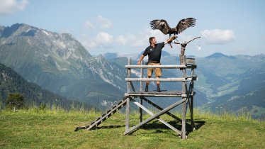 Parc des Rapaces de Mayrhofen, © Mayrhofen Bergbahnen