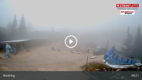 Webcam Triassic Park