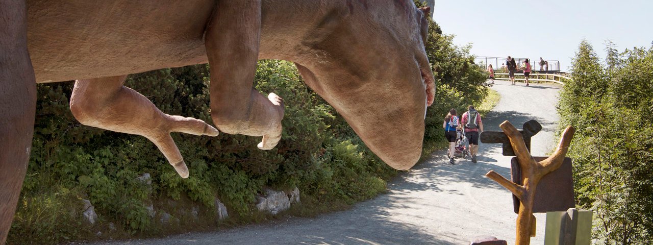 Sur le trail deTriassic, © Tirol Werbung/Frank Bauer