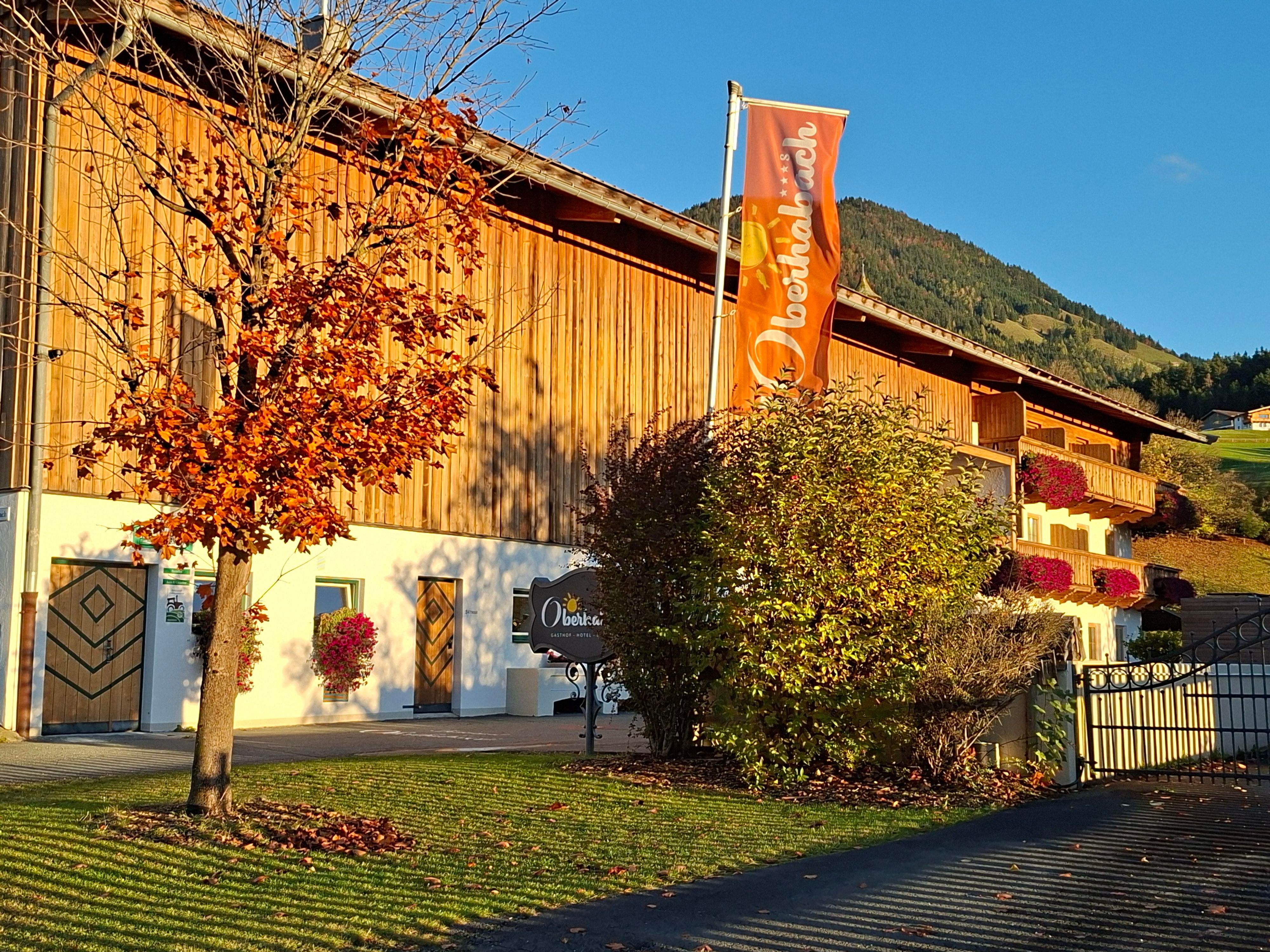 A cozy wooden house with an inviting facade and colorful flowers. In the background, gentle hills and a blue sky can be seen.