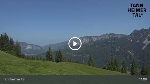 Webcam Krinnenalpe