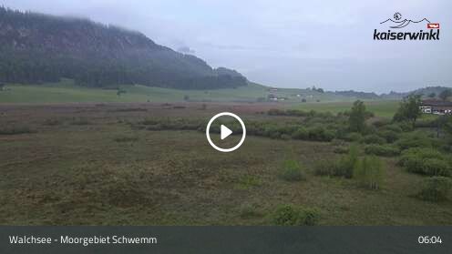 Webcam Moorgebiet Schwemm