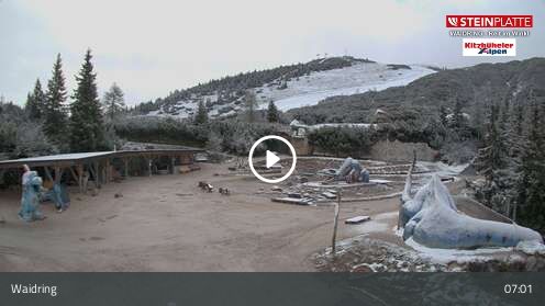 Webcam Triassic Park