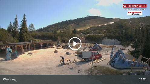 Webcam Triassic Park