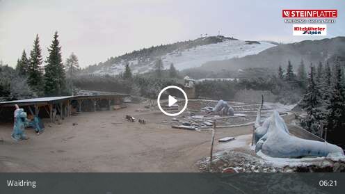 Webcam Triassic Park