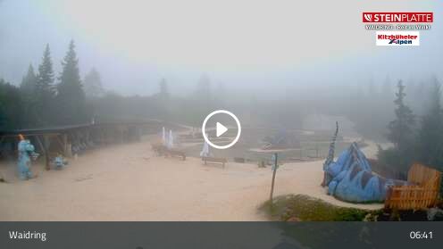 Webcam Triassic Park