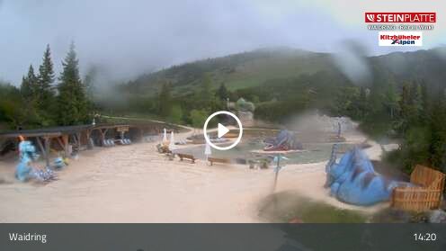 Webcam Triassic Park