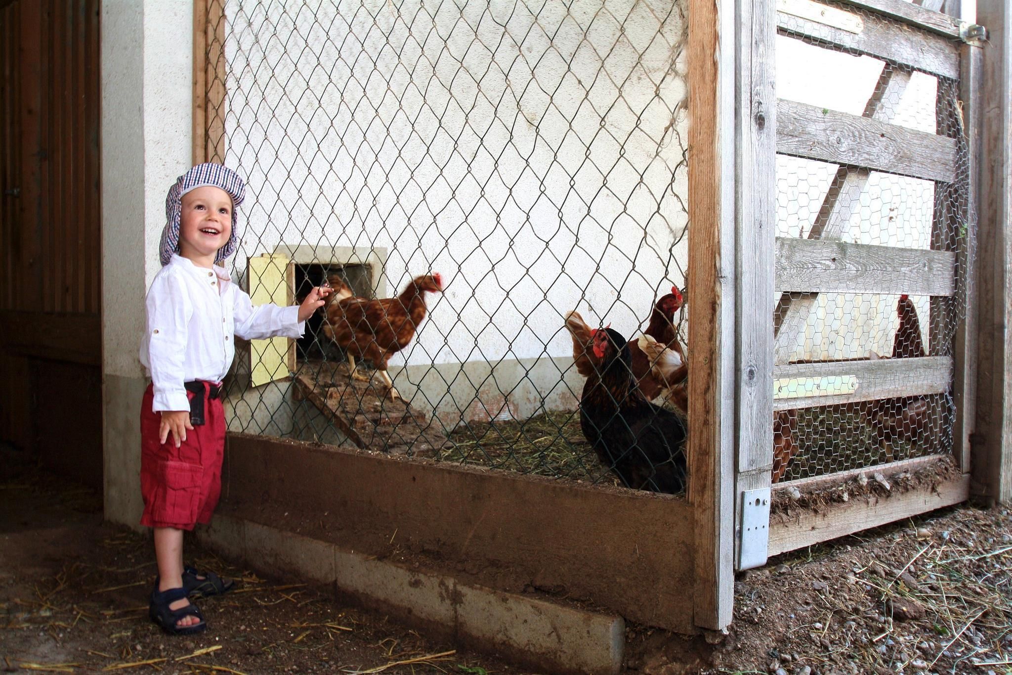 A happy child stands in front of a chicken coop and smiles. Inside the coop, several chickens can be seen.