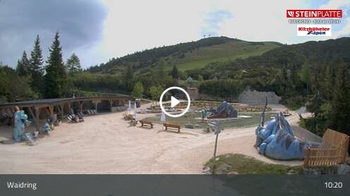 Webcam Triassic Park