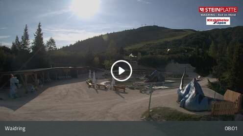 Webcam Triassic Park