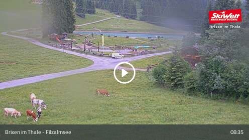 Webcam Filzalmsee