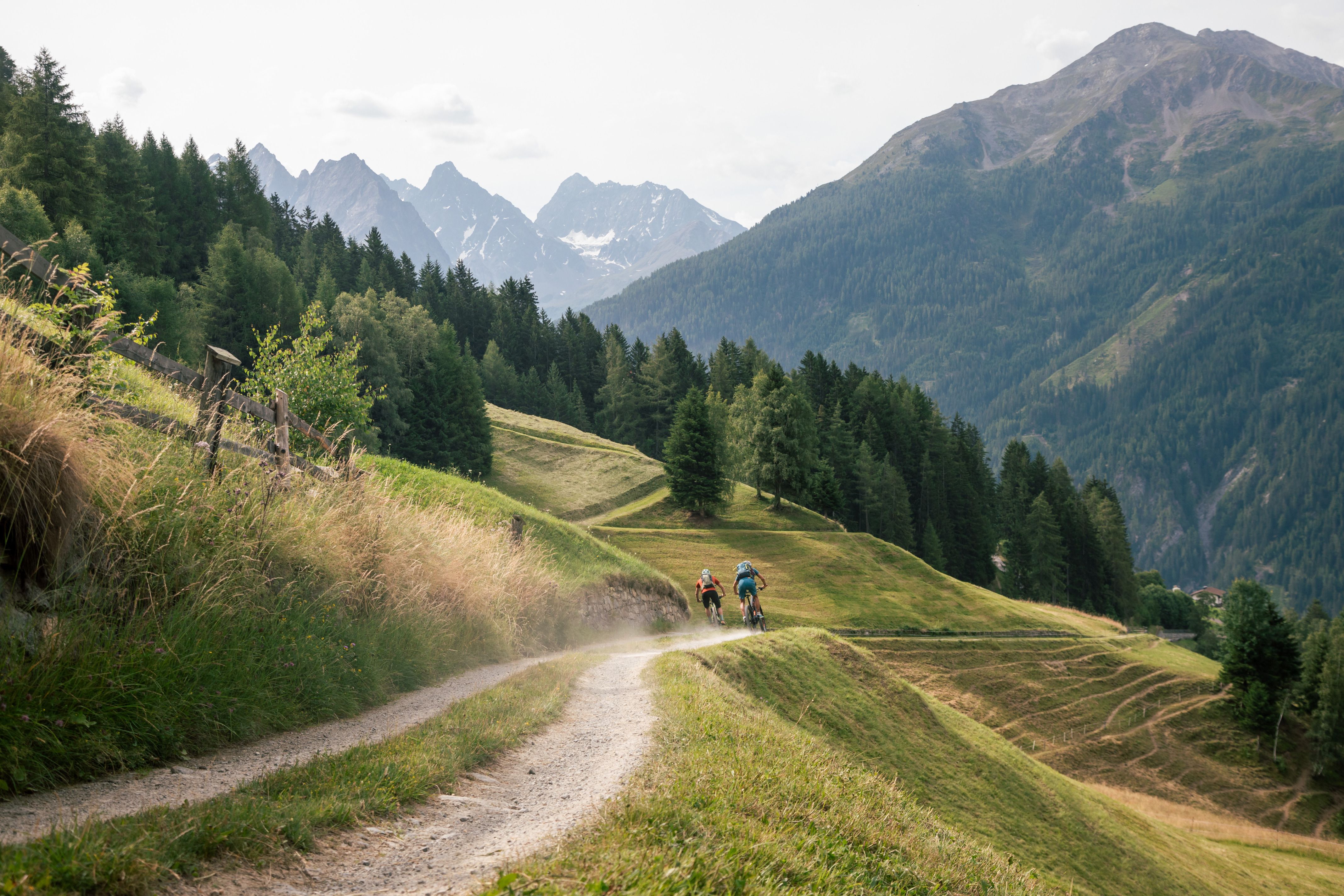 E-Mountainbiken am Kaunerberg im Kaunertal, Mountainbiker auf Forstweg mit Aussicht