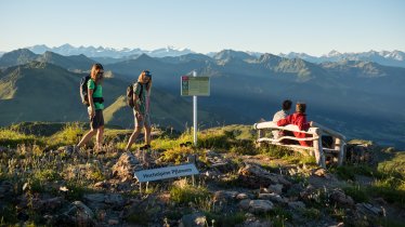 Jardin des fleurs des Alpes sur la Corne de Kitzbühel, © KitzSki / Werlberger