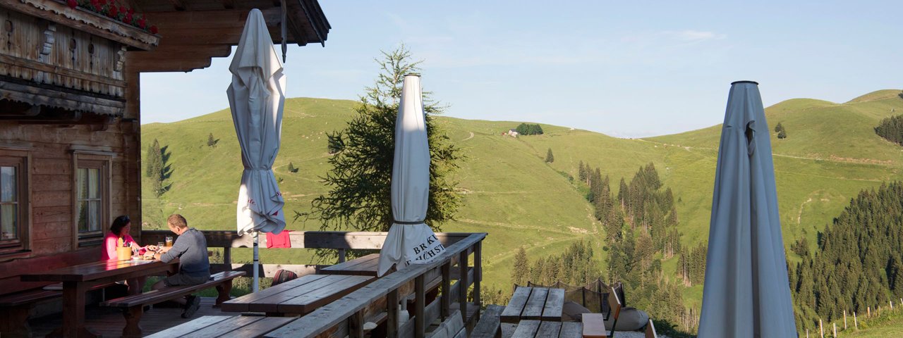 La belle terrasse de la Burgeralm et ses prairies verdoyantes