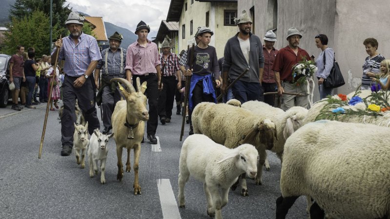 La fête de la transhumance de Tarrenz est la plus grande de la région, © Tirol Werbung/Jörg Koopmann