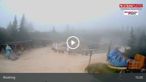 Webcam Triassic Park