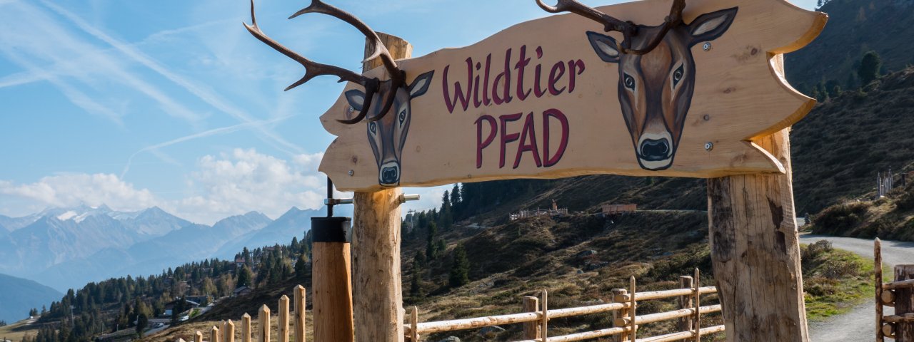 Point de départ du sentier Hubertus-Wildtierpfad, © filmingpool