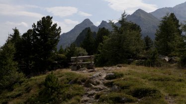 Voie de l'aigle étape 13 : Zirbenweg, © Tirol Werbung/Jenewein Markus