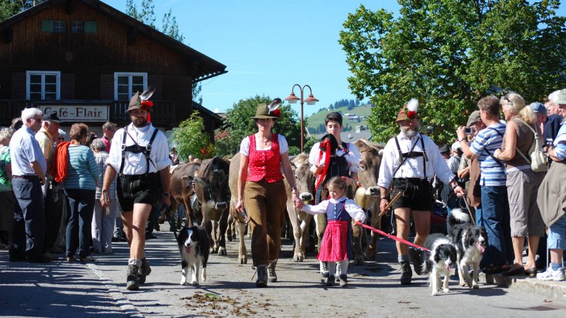 Vaches, mais aussi chèvres, sont applaudies sur leur passage, © TVB Tannheimer Tal