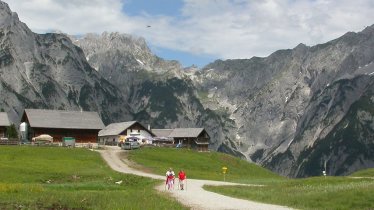 l’alpage Walderalm, © Irene Prugger