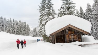 Randonnée hivernale à Seefeld - Wildmoos, © Region Seefeld / Johannes Geyer