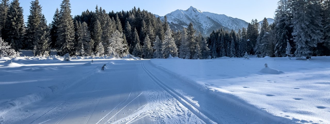 Lumière du matin sur la piste de C de Wildmoos, © Olympia Region Seefeld