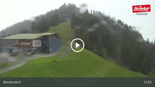 Webcam Talkaser