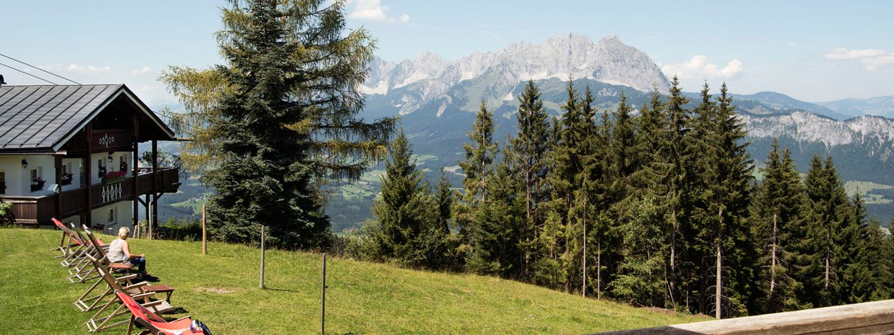 Vue de la terrasse ensoleillée