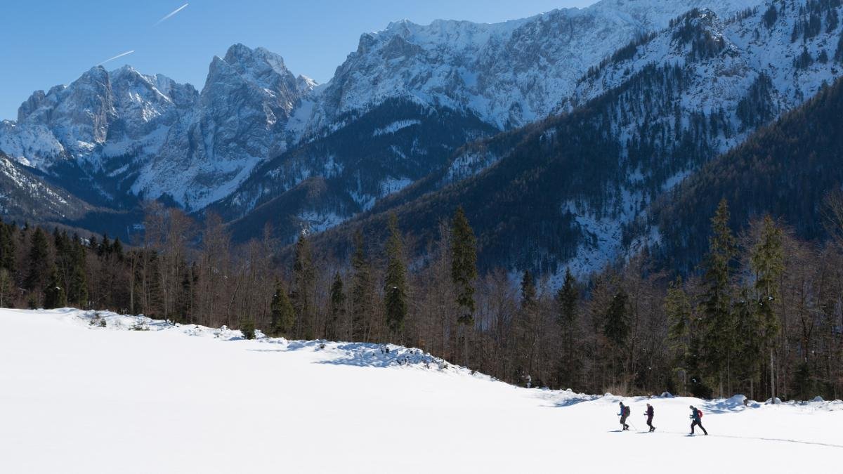 Le réseau de chemins de randonnée rassemble pas moins de 800 kilomètres d'itinéraire à pied. Dans la réserve de Kaisertal, certains chemins à thème font de chaque excursion une expérience encore plus unique., © Tirol Werbung/W9 Studios