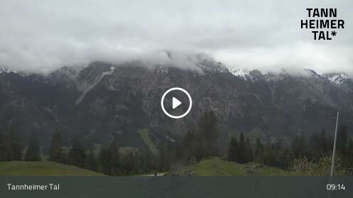 Webcam Krinnenalpe