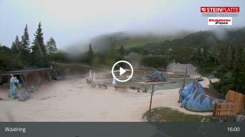Webcam Triassic Park