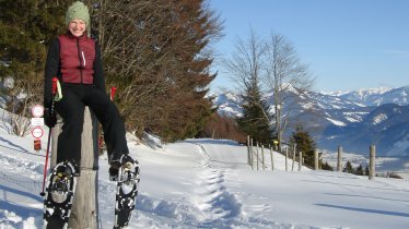 © Alpbachtal Seenland