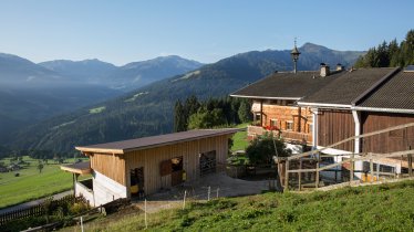 La ferme Flecklhof, Hopfgarten im Brixental, © Tirol Werbung/Lisa Hörterer
