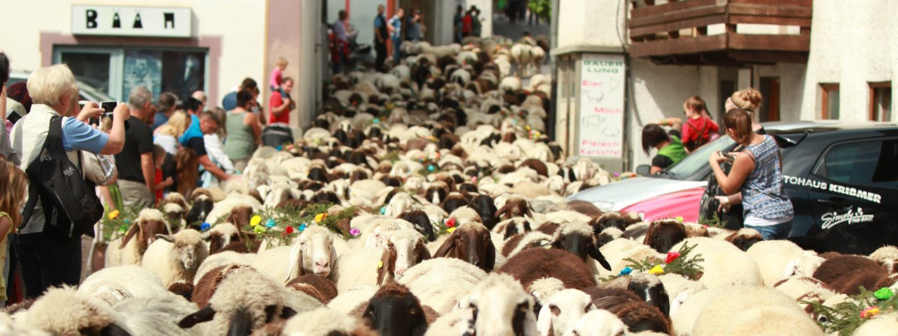 Le raz-de-marée de moutons lors de la grande fête de la transhumance de Tarrenz, © Imst Tourismus/Mike Maas