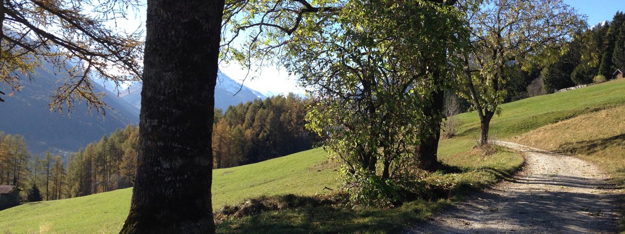 Randonnée familiale des prairies Telfeser Wiesen, © Tirol Werbung - W9 Studios