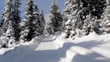 Piste de luge Rosskogelhütte – Stiglreith, © Alfons Hörtnagl