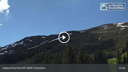 Webcam Hornlift 2000 Talstation