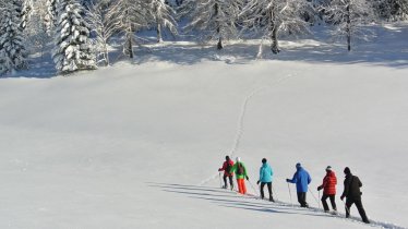 © Alpbachtal Seenland